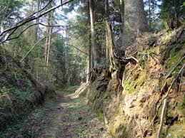 Rezerwat przyrody Góra Sieradowska